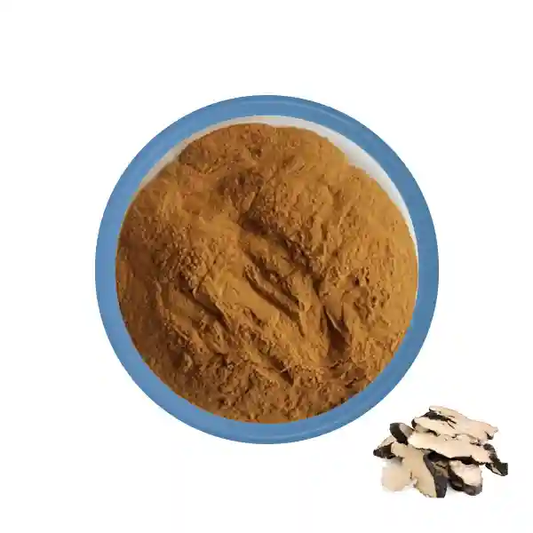 Organic Polyporus Umbellatus Extract